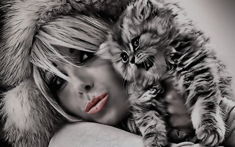 Woman Holding Kitten — Black, Dramatic