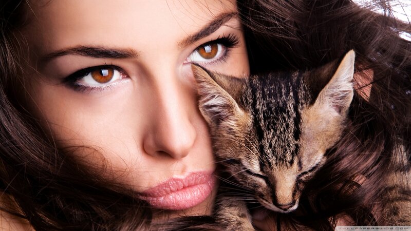 Woman Holding Kitten — Brown, Intimate