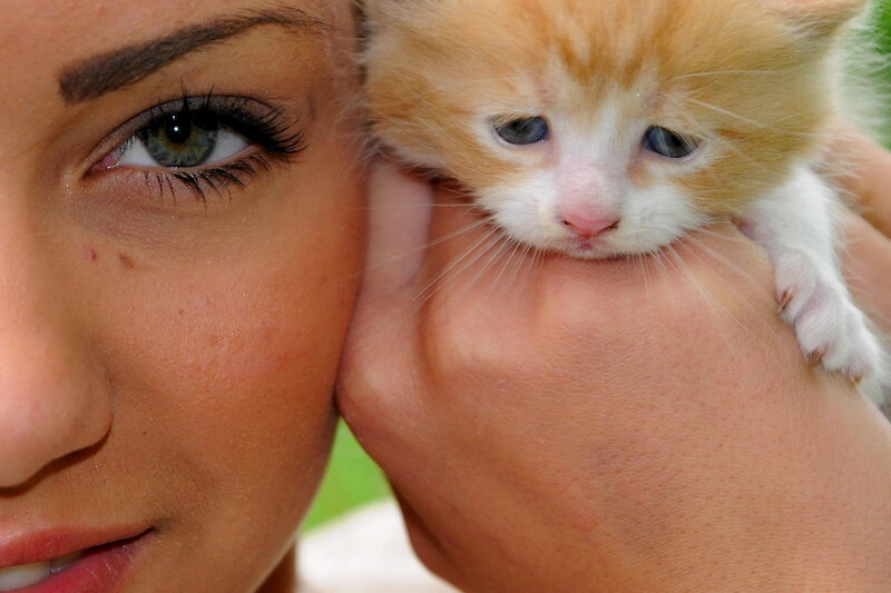 Woman Holding Kitten — Orange
