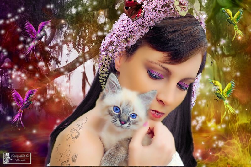 Woman Holding Kitten — Purple