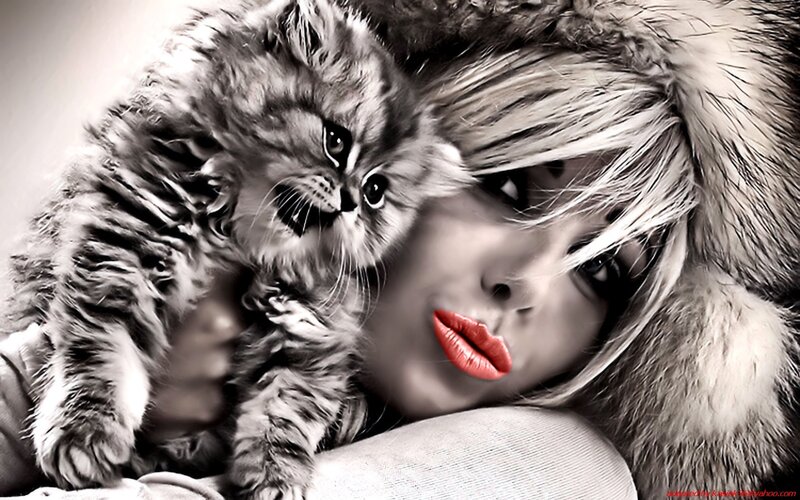 Woman Holding Kitten