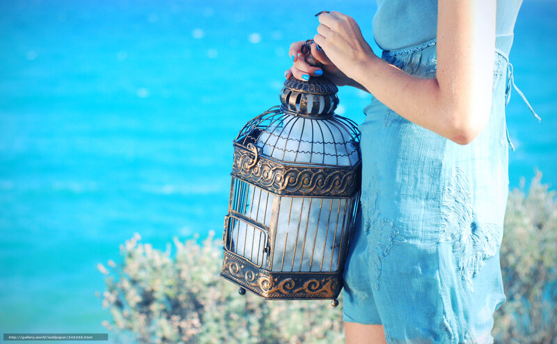 Woman Holding Lantern — Blue, Serene, Afternoon, Photograph