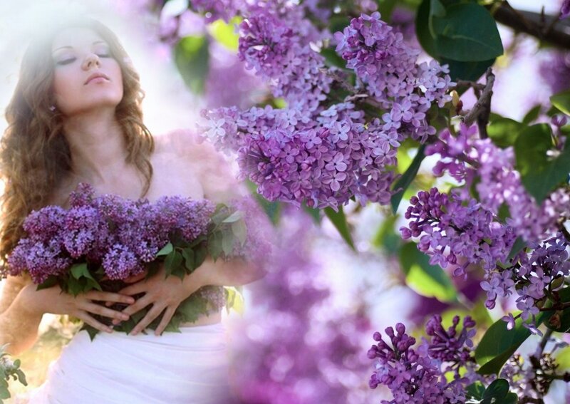 Woman Holding Lilacs — Purple, Serene, Spring