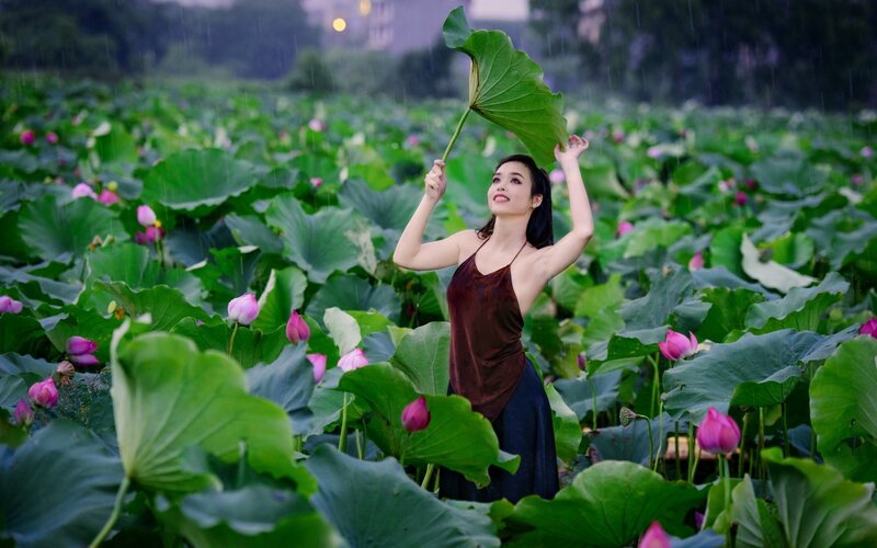 Woman Holding Lotus Leaf — Green