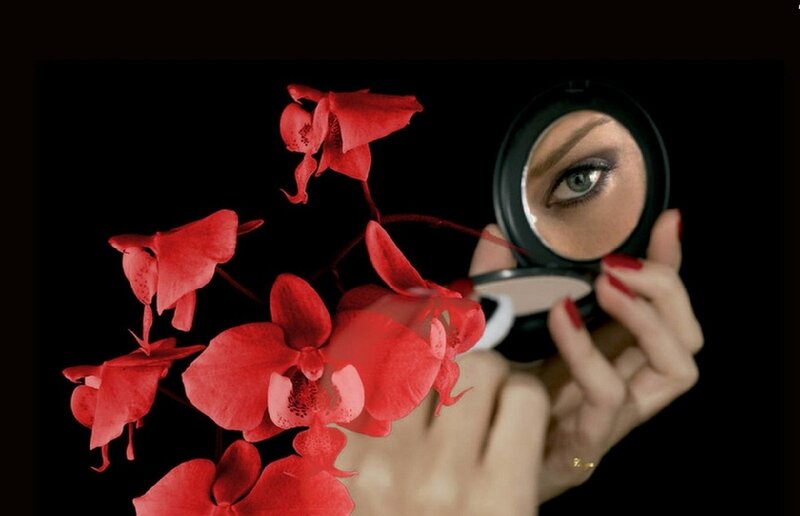 Woman Holding Mirror — Black, Dramatic, Photograph
