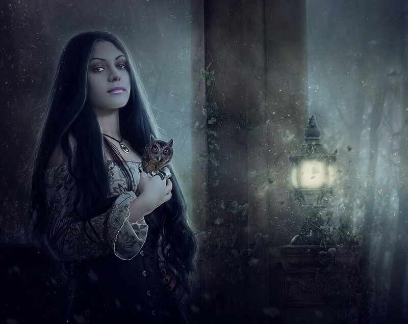 Woman Holding Owl — Black