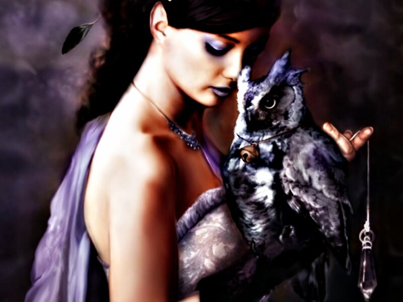 Woman Holding Owl — Purple, Dramatic, Night