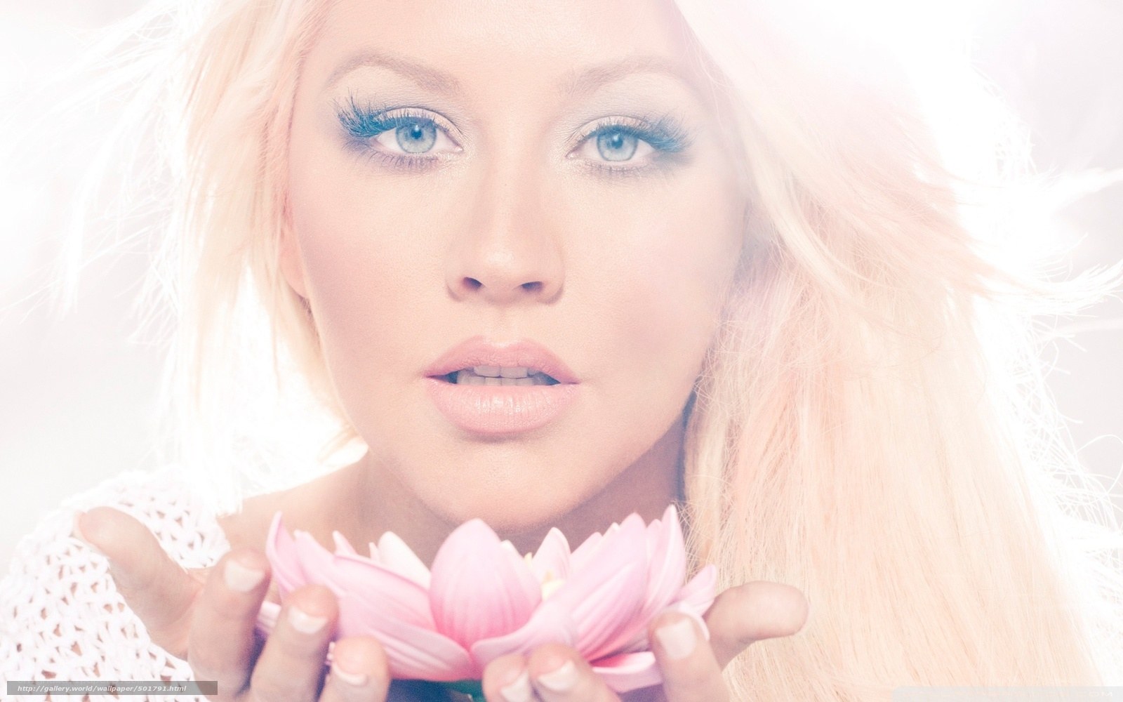 woman holding pink flower
