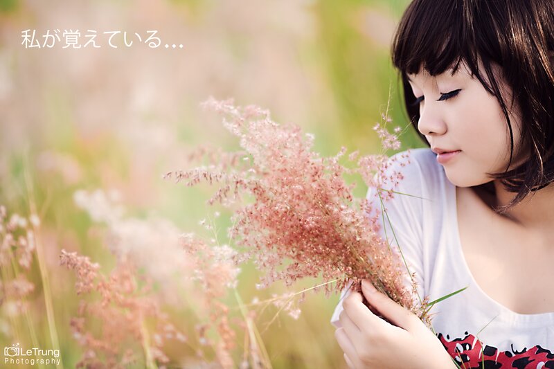 woman holding pink flowers