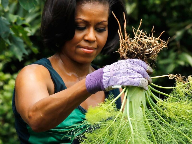 Woman Holding Plants