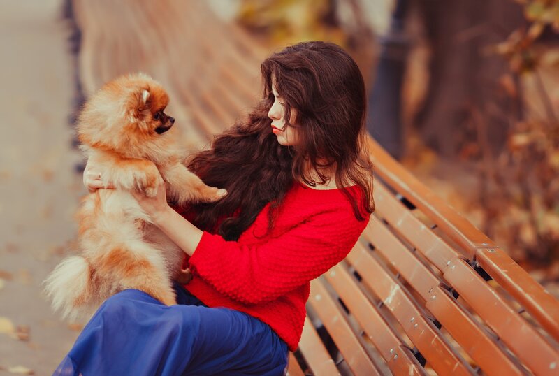 Woman Holding Pomeranian