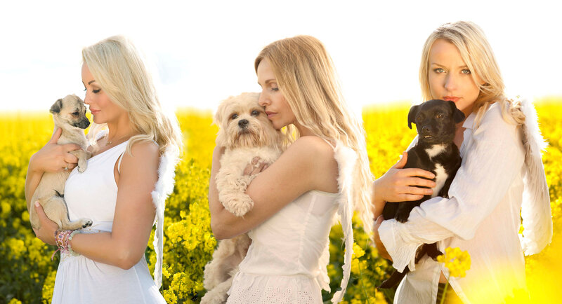 Woman Holding Puppies — Yellow