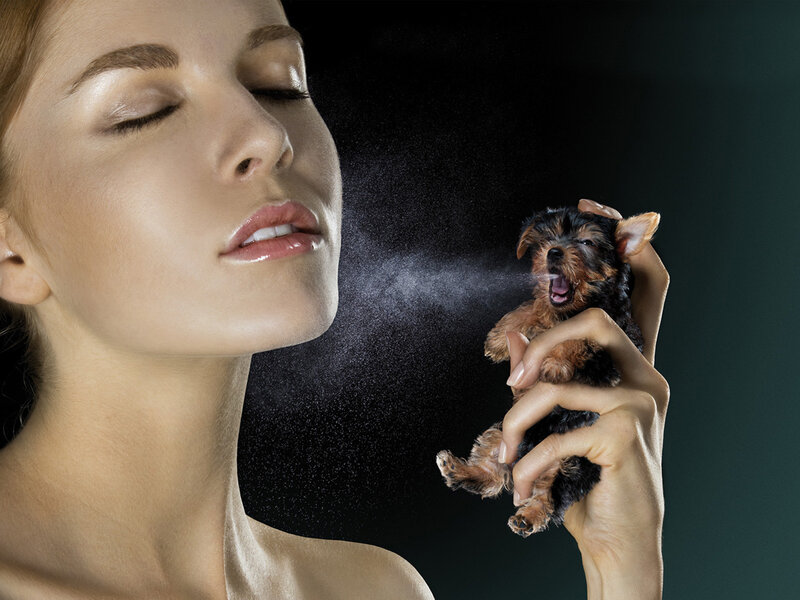 Woman Holding Puppy — Black
