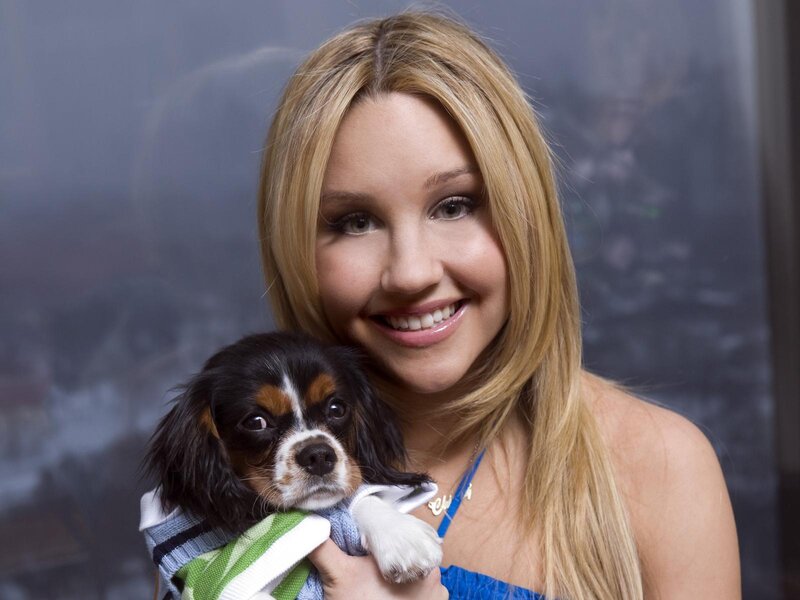 Woman Holding Puppy — Blonde