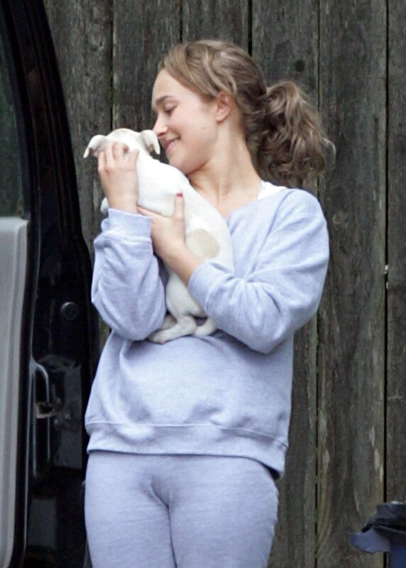 Woman Holding Puppy — Gray, Calm
