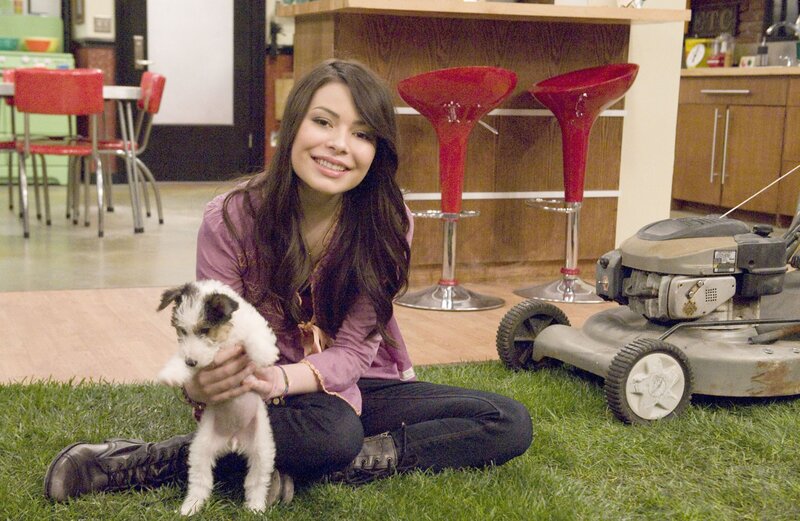 Woman holding puppy on grass