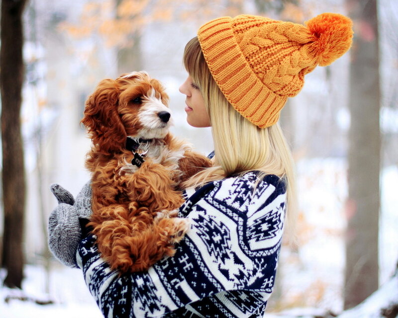 Woman Holding Puppy — Orange, Calm
