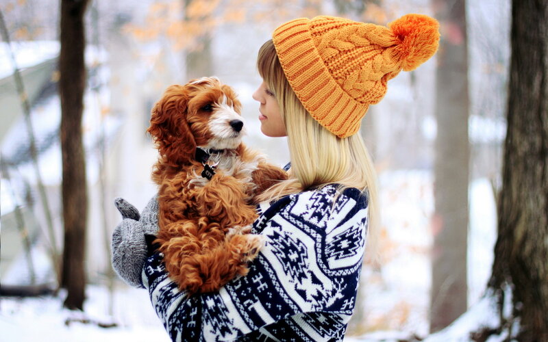 Woman Holding Puppy — Orange