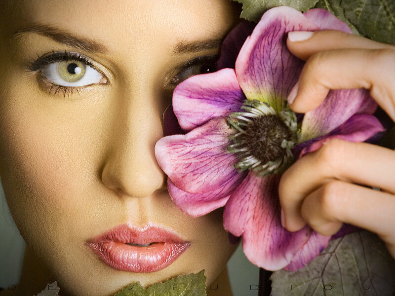 Woman Holding Purple Flower — Serene, Photograph