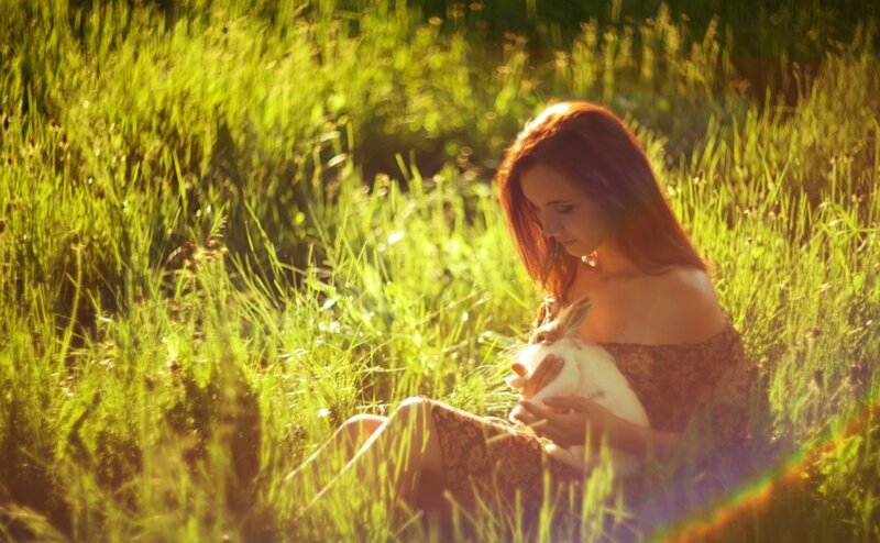 Woman Holding Rabbit — Green, Serene, Sunset