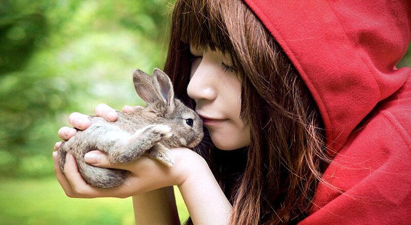 Woman Holding Rabbit — Red, Serene