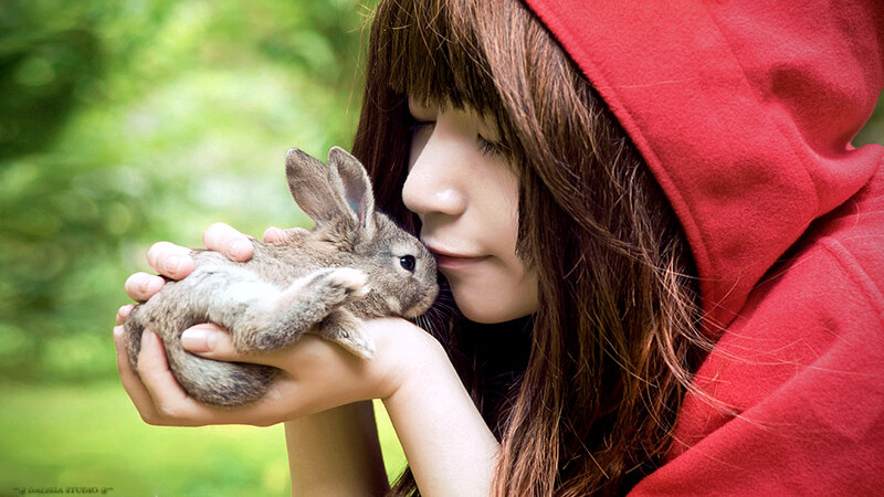 Woman Holding Rabbit — Red
