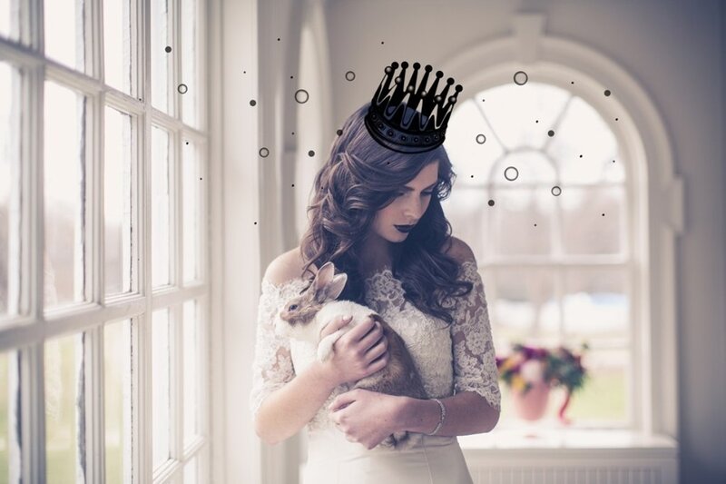 Woman Holding Rabbit — White, Serene, Afternoon