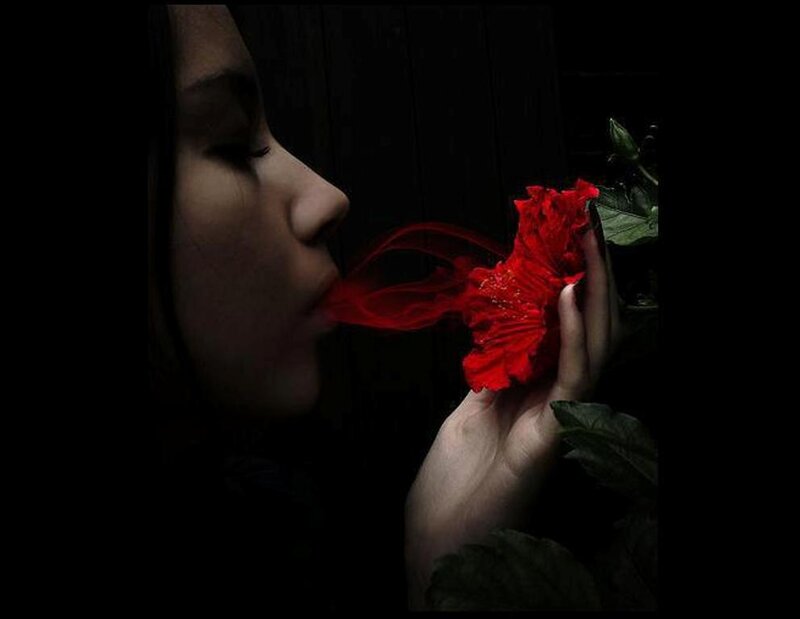 Woman Holding Red Flower — Dramatic, Night