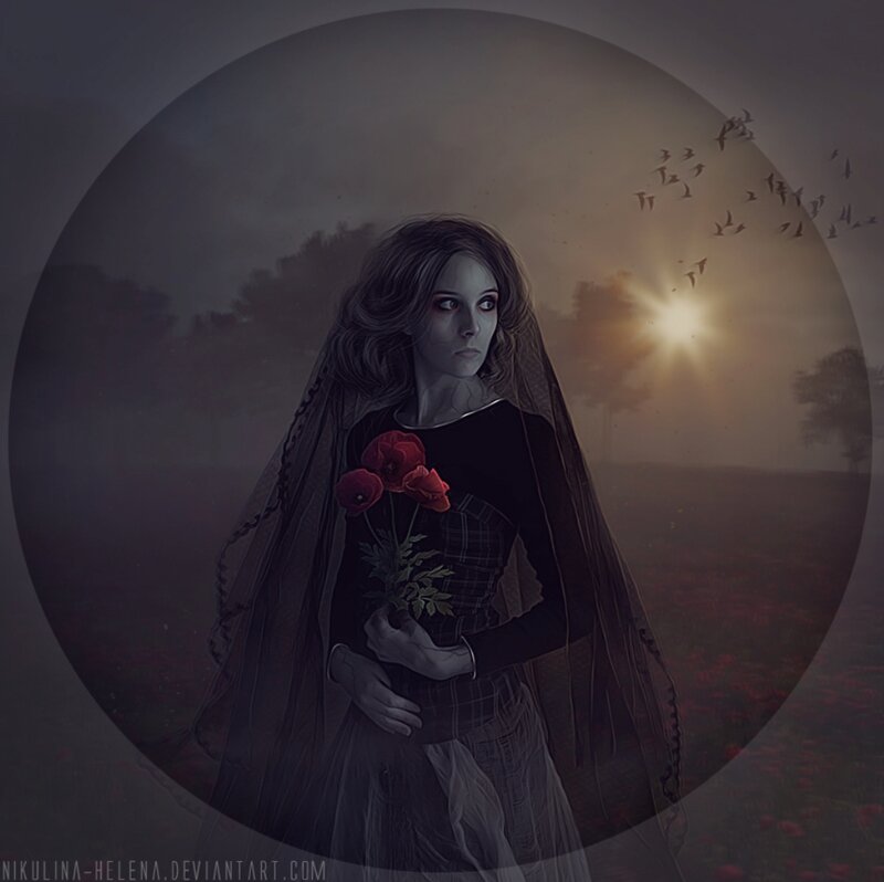 Woman Holding Red Flowers — Black