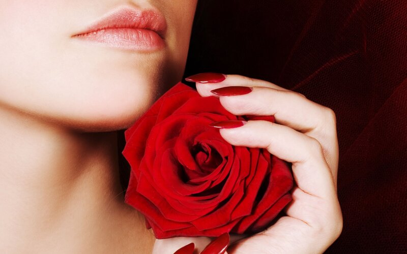 woman holding red rose