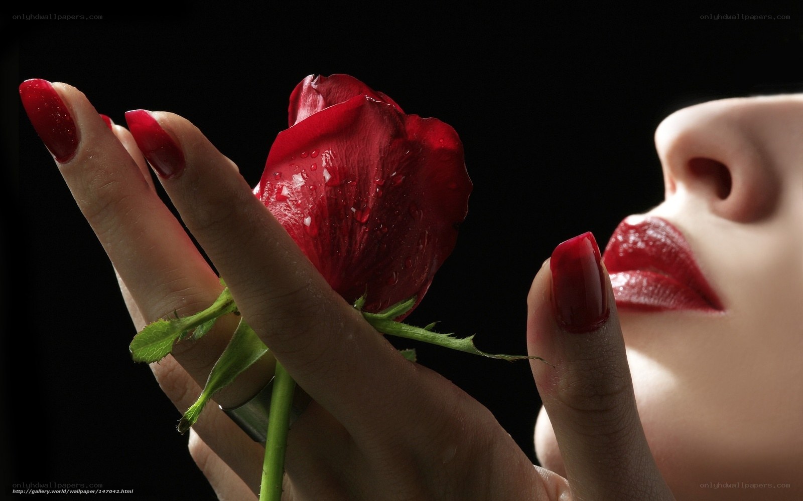 woman holding red rose
