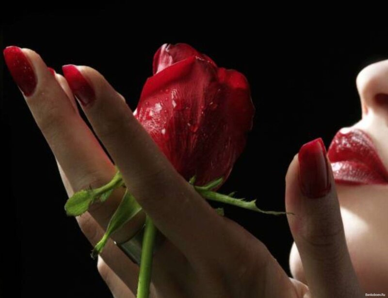 woman holding red rose
