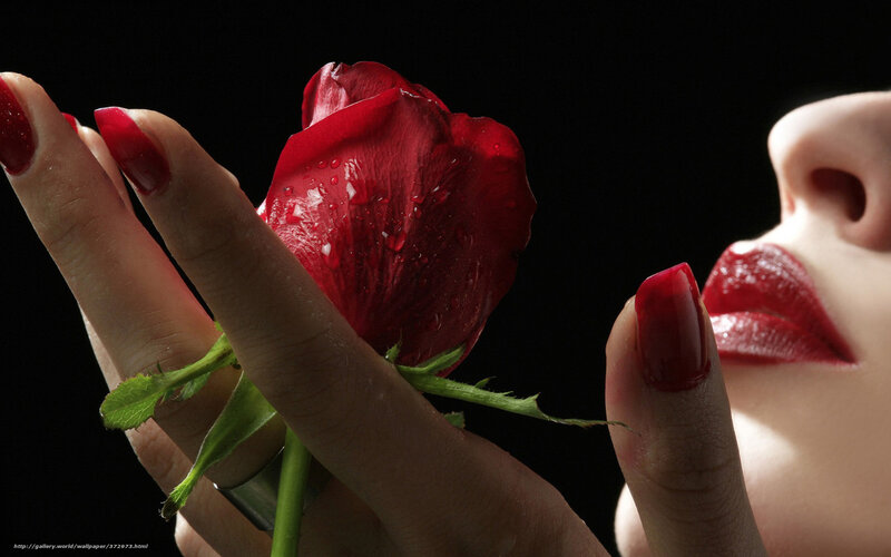 woman holding red rose
