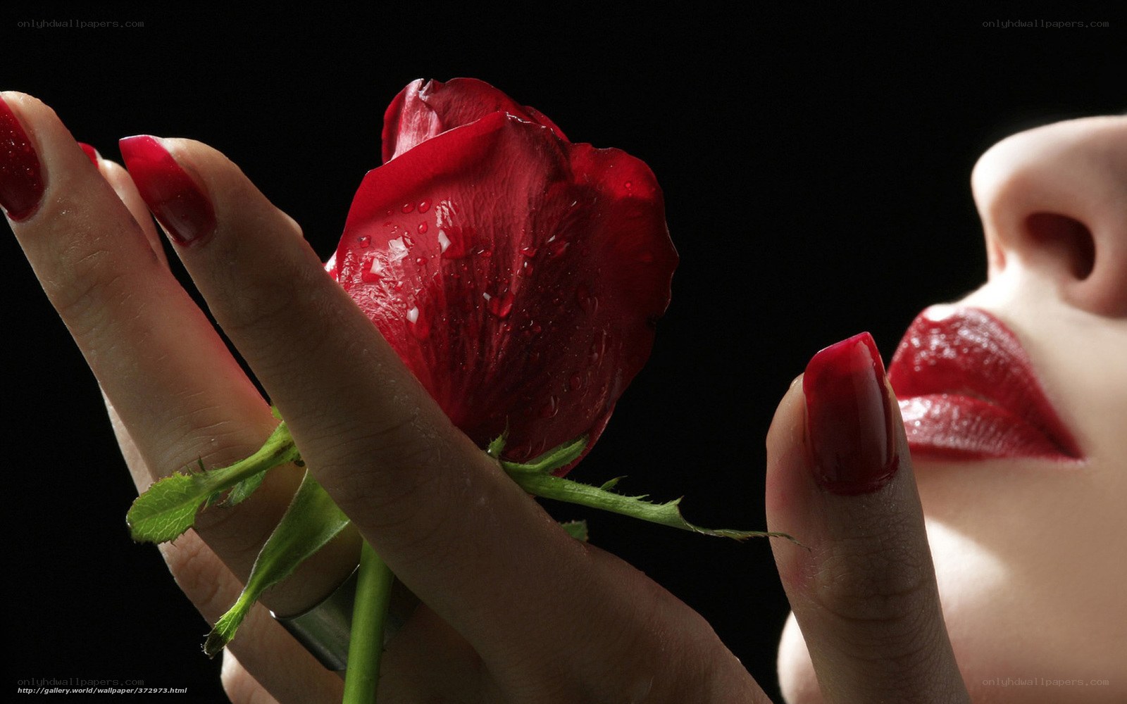 woman holding red rose