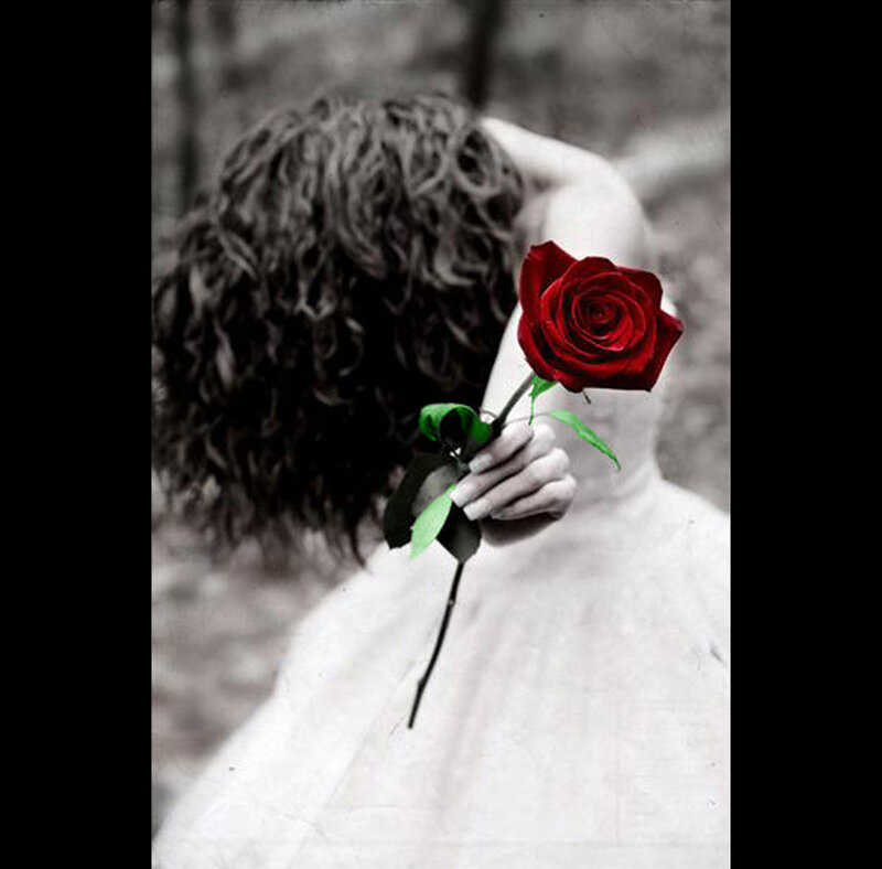 woman holding red rose