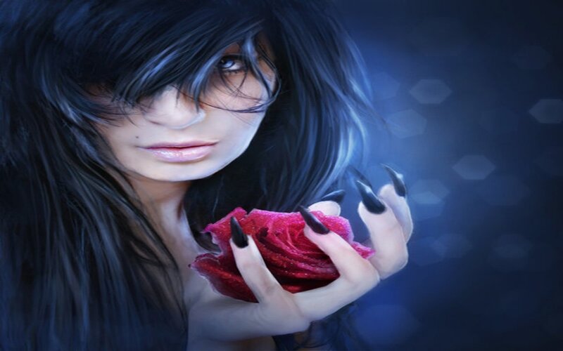 Woman Holding Red Rose — Blue