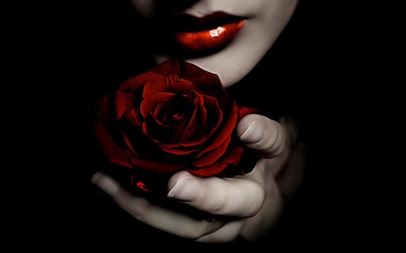 Woman Holding Red Rose — Dramatic, Night