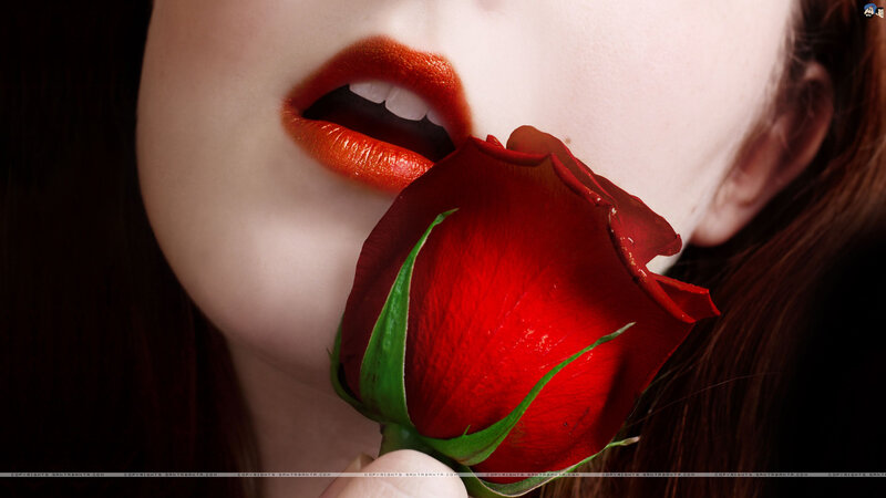 Woman Holding Red Rose — Dramatic, Photograph, Lips, Hair