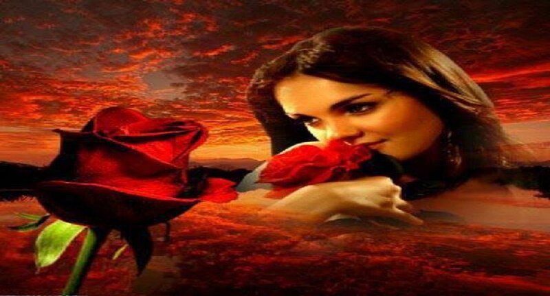 Woman Holding Red Rose — Dramatic, Sunset