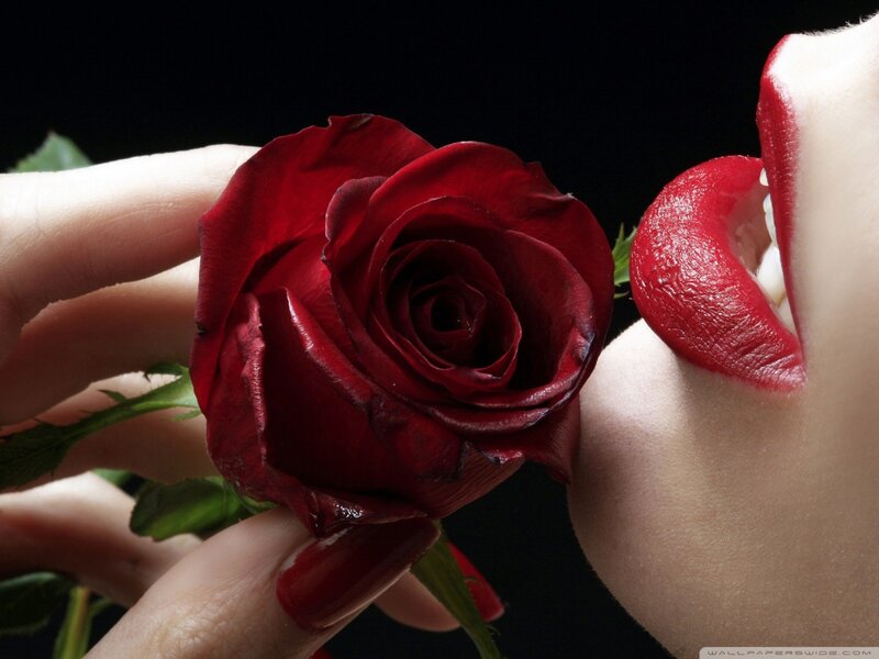Woman Holding Red Rose — Hand