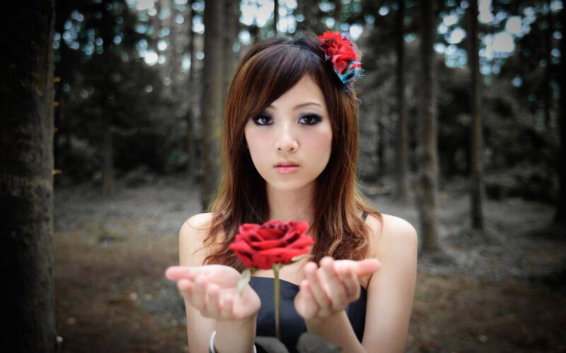 woman holding red rose in forest
