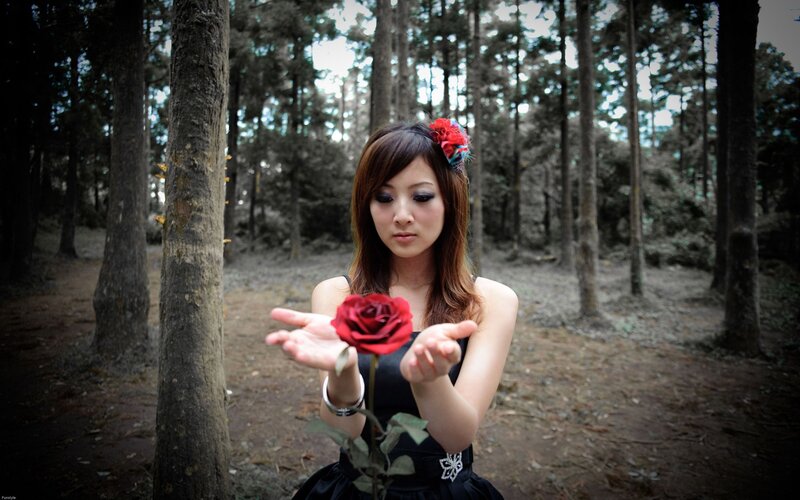 woman holding red rose in forest
