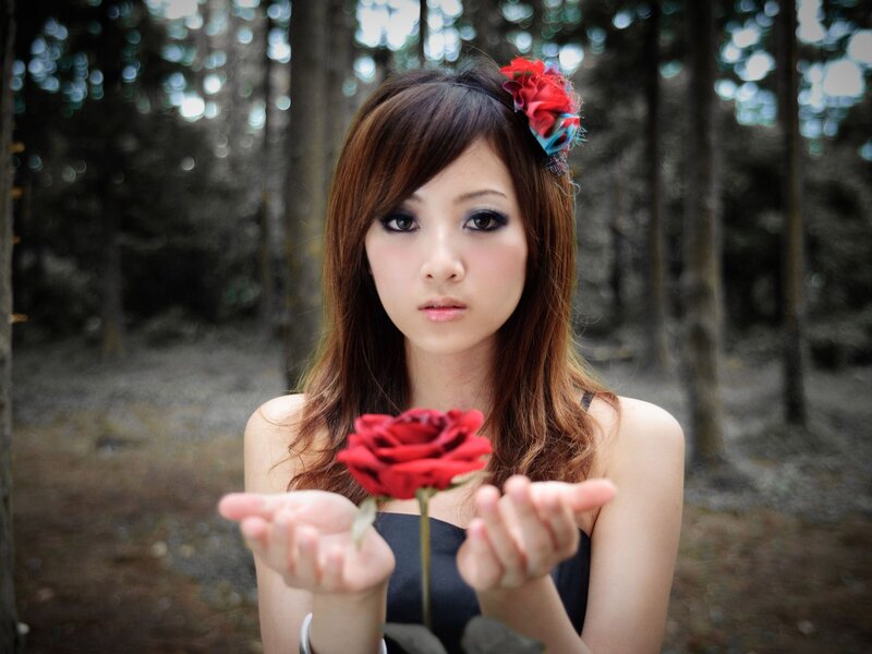 woman holding red rose in forest