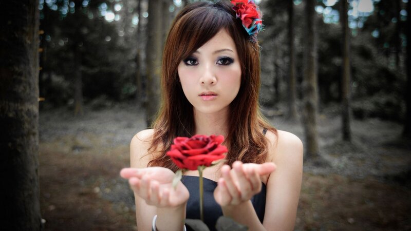 woman holding red rose in forest