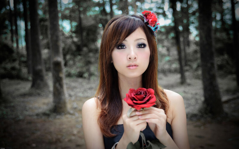 woman holding red rose in forest