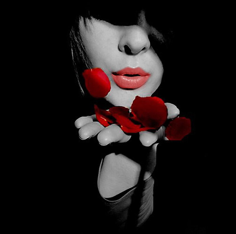 woman holding red rose petals