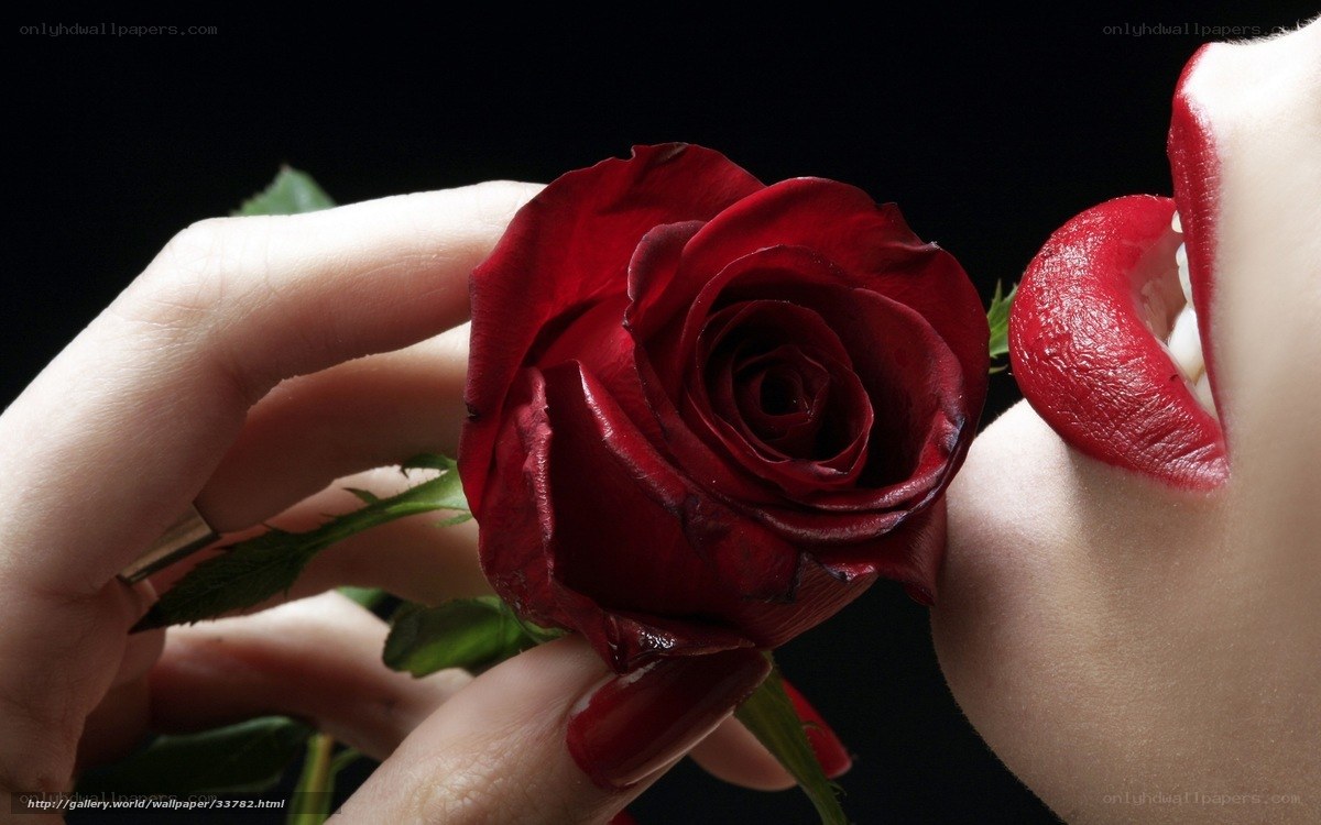 woman holding red rose