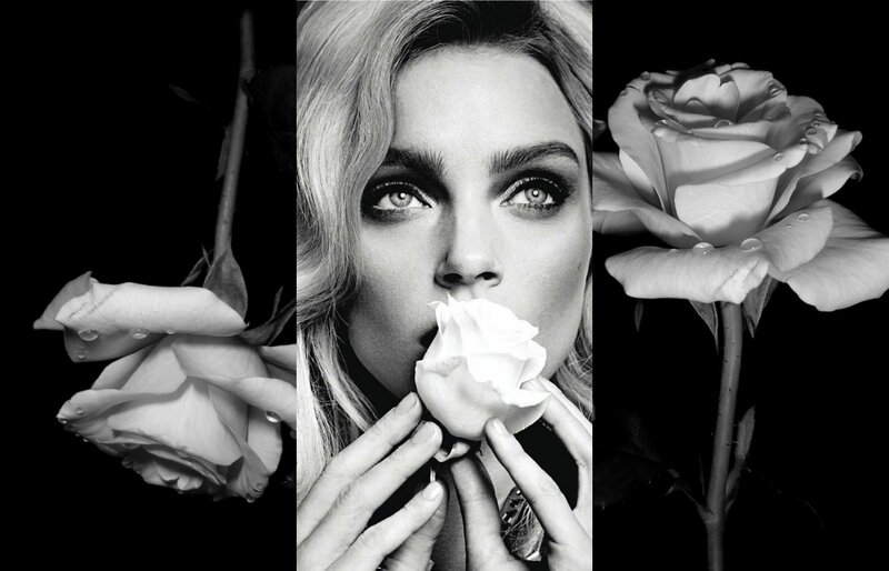 Woman Holding Rose — Black, Dramatic, Photograph, Flower