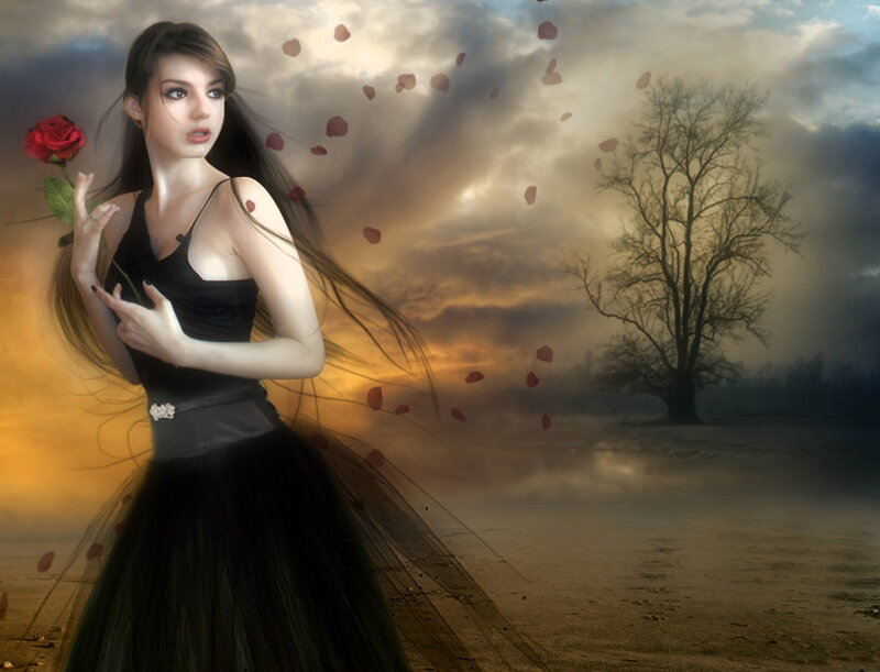 Woman Holding Rose — Black, Dramatic, Sunset