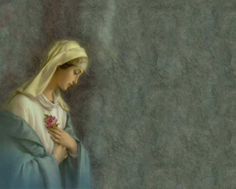 Woman Holding Rose — Blue, Serene